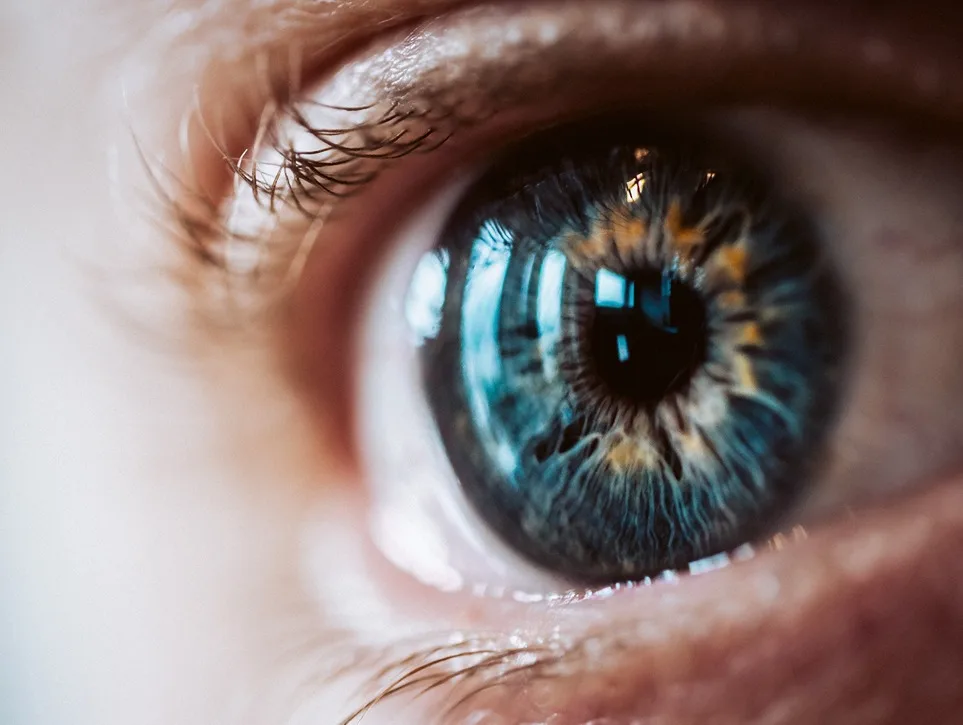 eye health